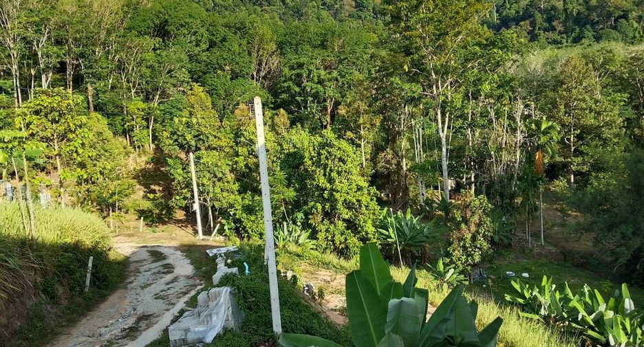 For sale land in Thai Mueang, Phang Nga
