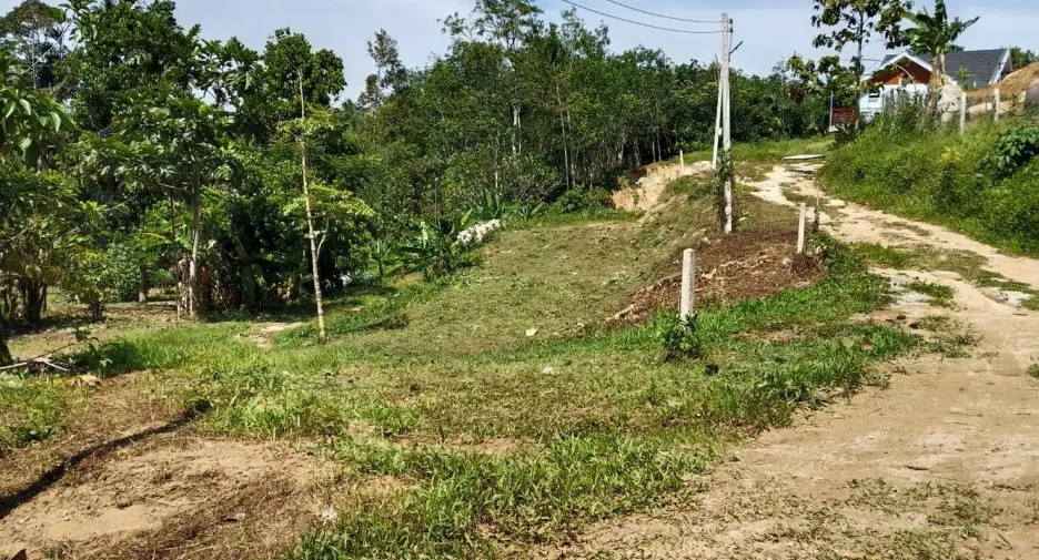 For sale land in Thai Mueang, Phang Nga