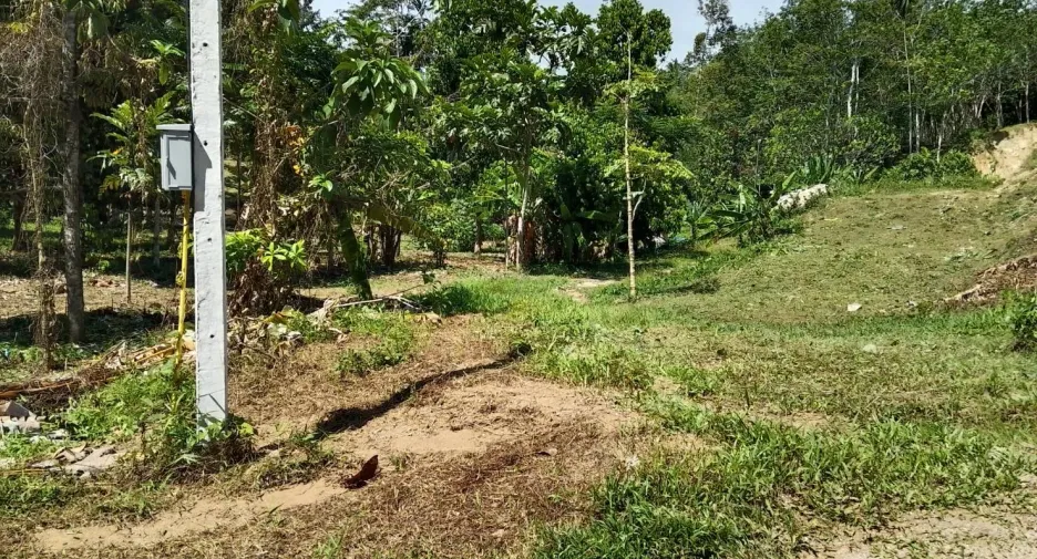 For sale land in Thai Mueang, Phang Nga