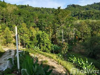 For sale land in Thai Mueang, Phang Nga
