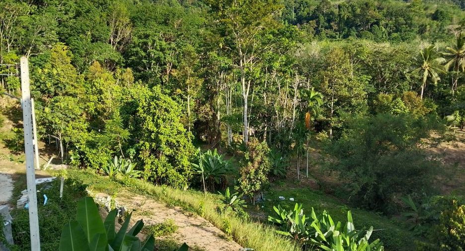 For sale land in Thai Mueang, Phang Nga
