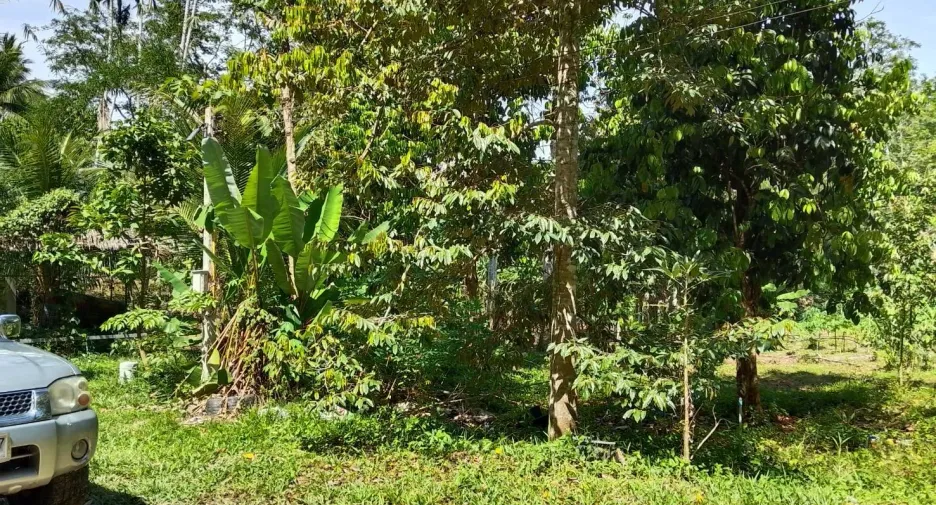 For sale land in Thai Mueang, Phang Nga