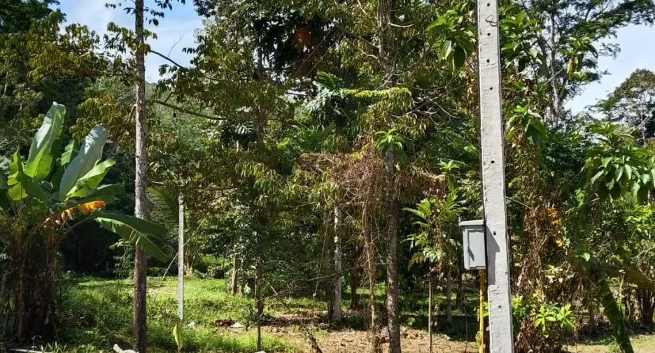 For sale land in Thai Mueang, Phang Nga