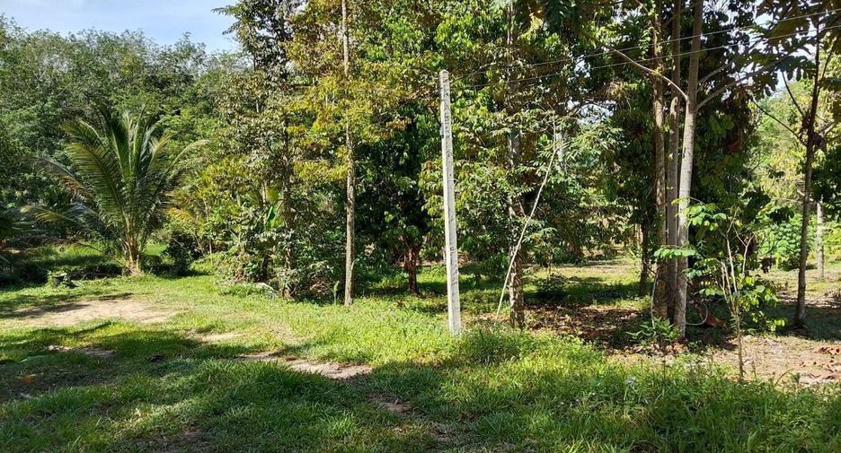 For sale land in Thai Mueang, Phang Nga