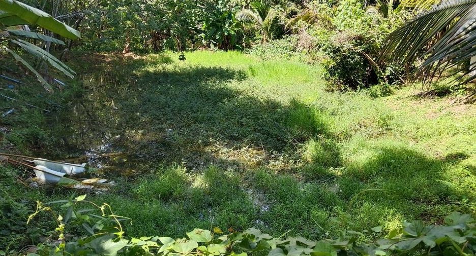 For sale land in Thai Mueang, Phang Nga
