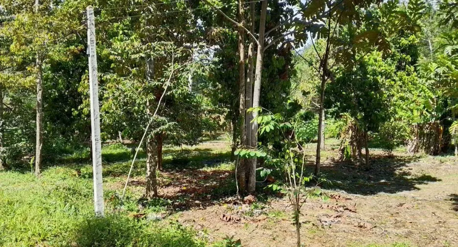 For sale land in Thai Mueang, Phang Nga