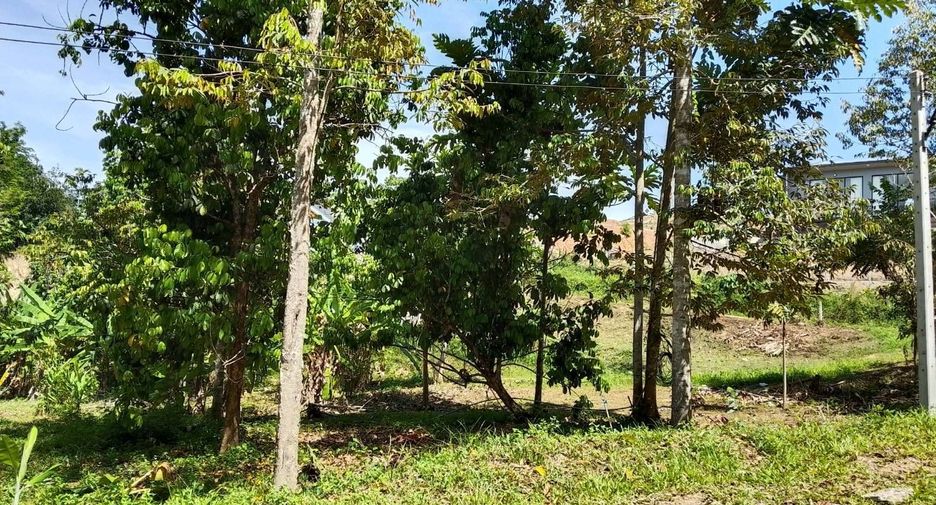 For sale land in Thai Mueang, Phang Nga