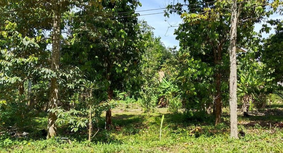 For sale land in Thai Mueang, Phang Nga