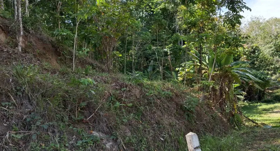 For sale land in Thai Mueang, Phang Nga