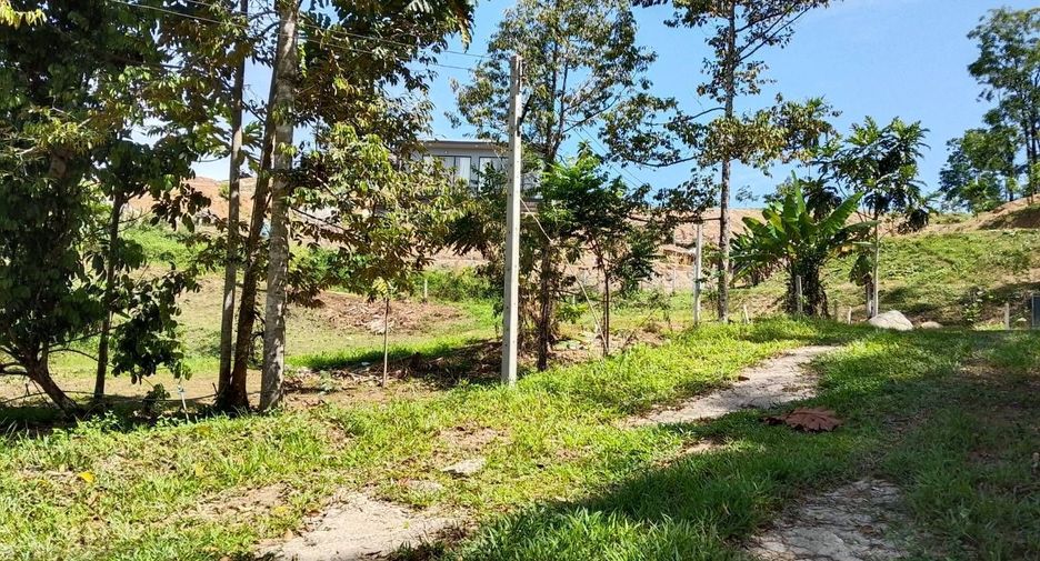 For sale land in Thai Mueang, Phang Nga