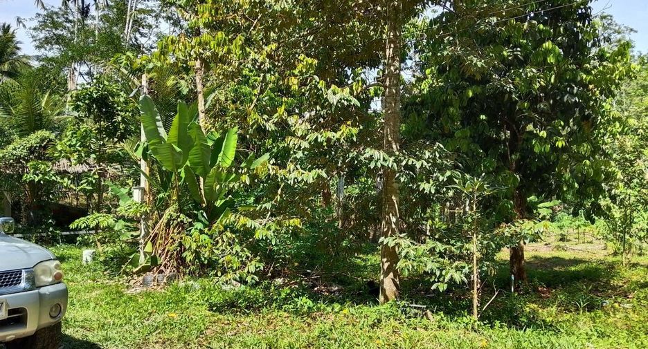 出售 土地 在 Thai Mueang, Phangnga