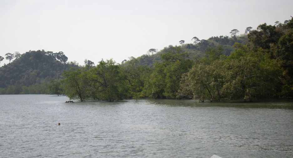 For sale land in Takua Pa, Phang Nga