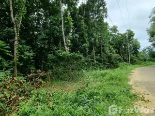 For sale land in Takua Pa, Phang Nga