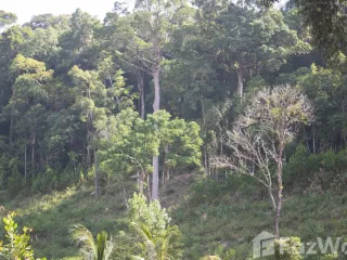 For sale land in Takua Pa, Phang Nga