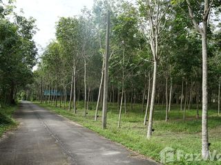 For sale land in Takua Thung, Phang Nga
