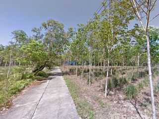 For sale land in Takua Thung, Phang Nga
