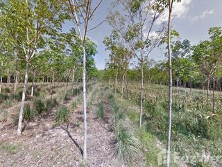 For sale land in Takua Thung, Phang Nga