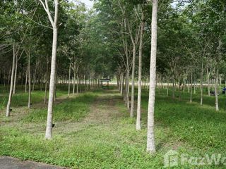 For sale land in Takua Thung, Phang Nga