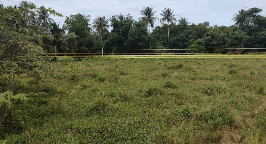 For sale land in Takua Thung, Phang Nga