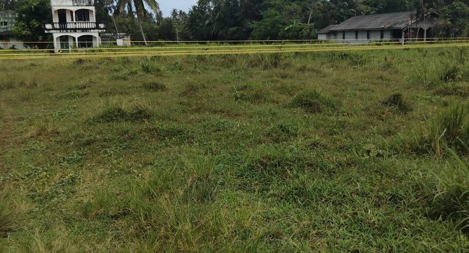 For sale land in Takua Thung, Phang Nga