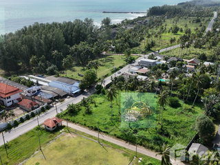 Grundstück zum Kauf in Takua Thung, Phang Nga