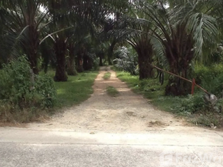 For sale land in Takua Thung, Phang Nga