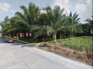 For sale land in Takua Thung, Phang Nga