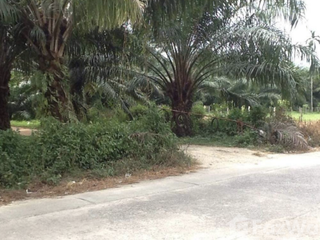For sale land in Takua Thung, Phang Nga