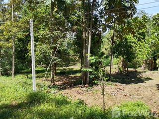 For sale land in Thai Mueang, Phang Nga