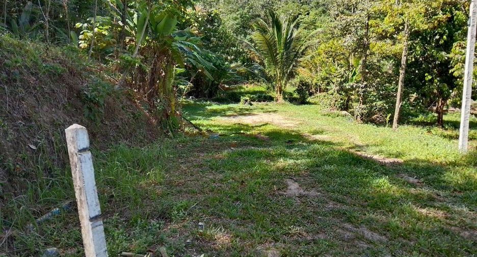 For sale land in Thai Mueang, Phang Nga