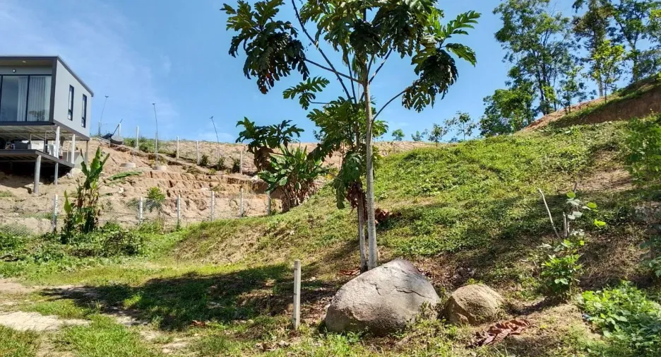 For sale land in Thai Mueang, Phang Nga