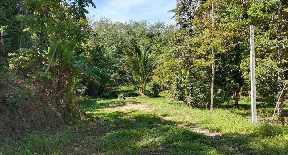 For sale land in Thai Mueang, Phang Nga