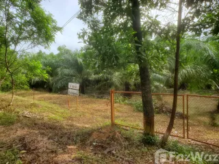 For sale land in Takua Pa, Phang Nga