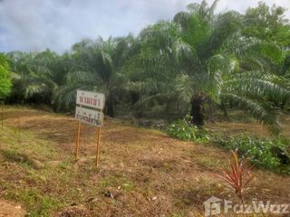 For sale land in Takua Pa, Phang Nga