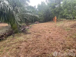 For sale land in Takua Pa, Phang Nga