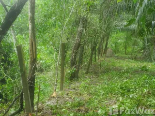 For sale land in Takua Pa, Phang Nga