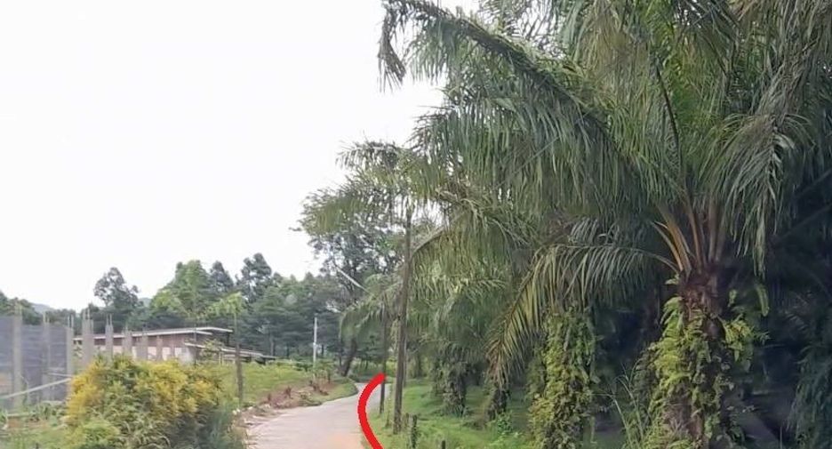ขาย ที่ดิน ใน ตะกั่วทุ่ง, พังงา