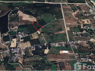 For sale land in Takua Thung, Phang Nga