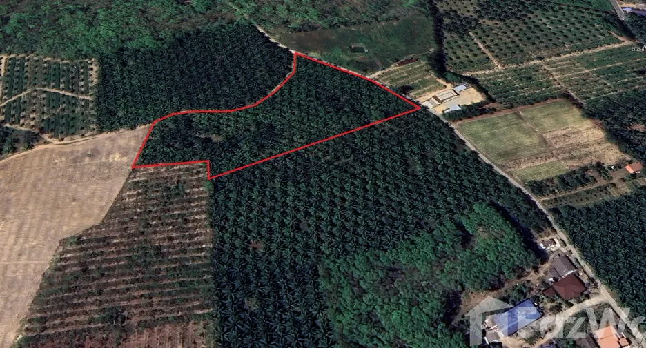 ขาย ที่ดิน ใน ตะกั่วทุ่ง, พังงา