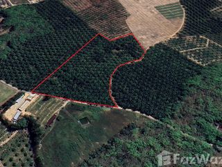 For sale land in Takua Thung, Phang Nga