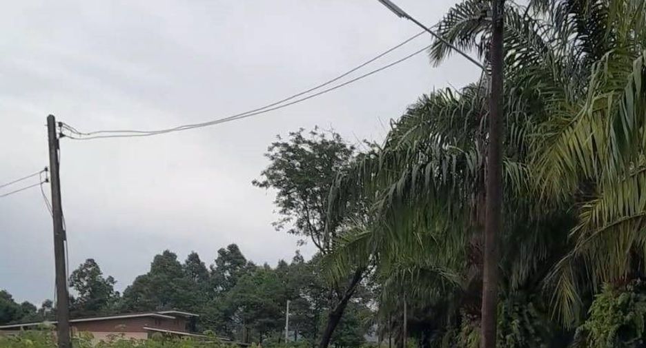 ขาย ที่ดิน ใน ตะกั่วทุ่ง, พังงา