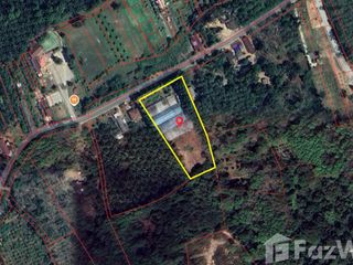 For sale land in Takua Thung, Phang Nga