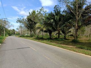 For sale land in Thai Mueang, Phang Nga