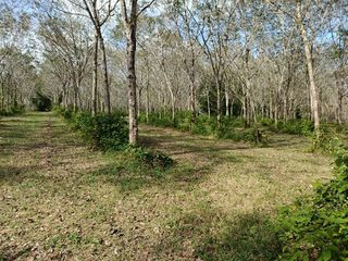 For sale land in Thai Mueang, Phang Nga