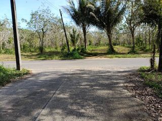 For sale land in Thai Mueang, Phang Nga