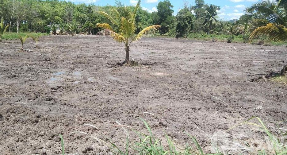 For sale land in Takua Thung, Phang Nga