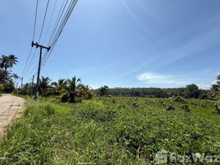 For sale land in Takua Thung, Phang Nga