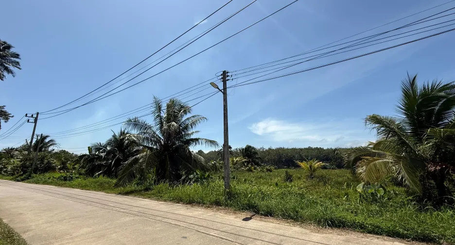 For sale land in Takua Thung, Phang Nga