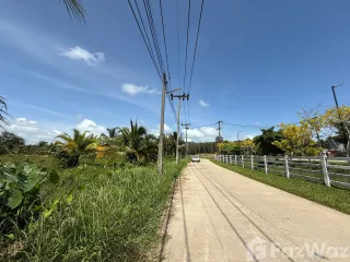 For sale land in Takua Thung, Phang Nga