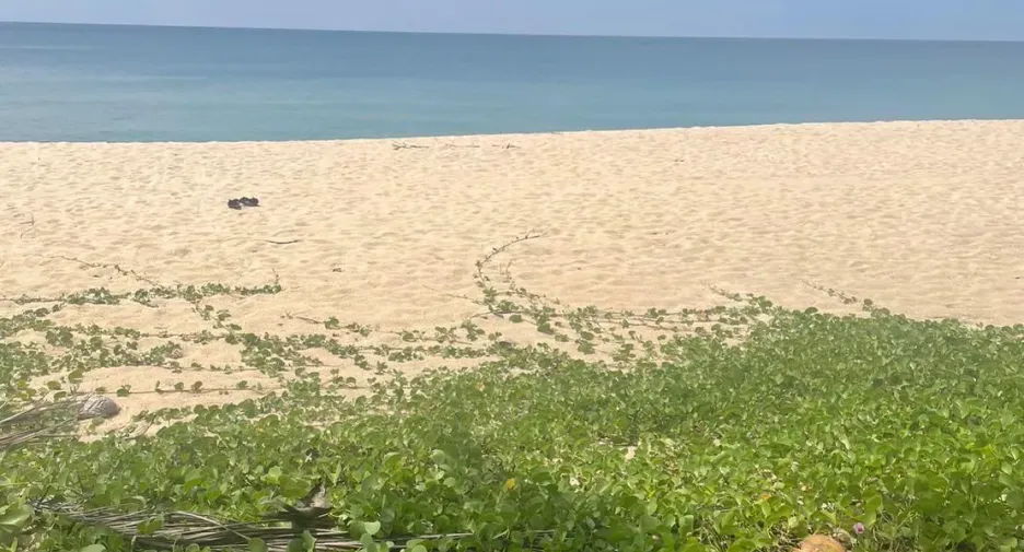 For sale land in Thai Mueang, Phang Nga